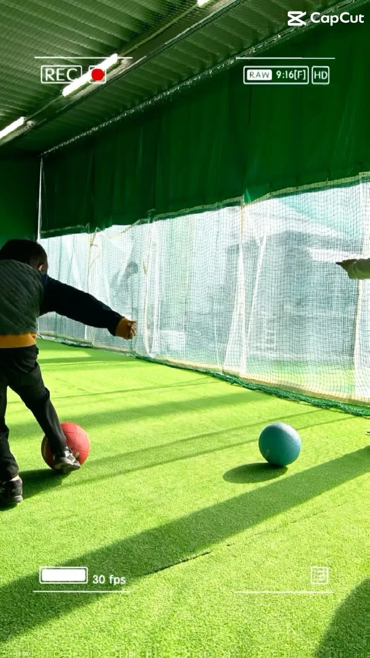 入会率がすごく高い…