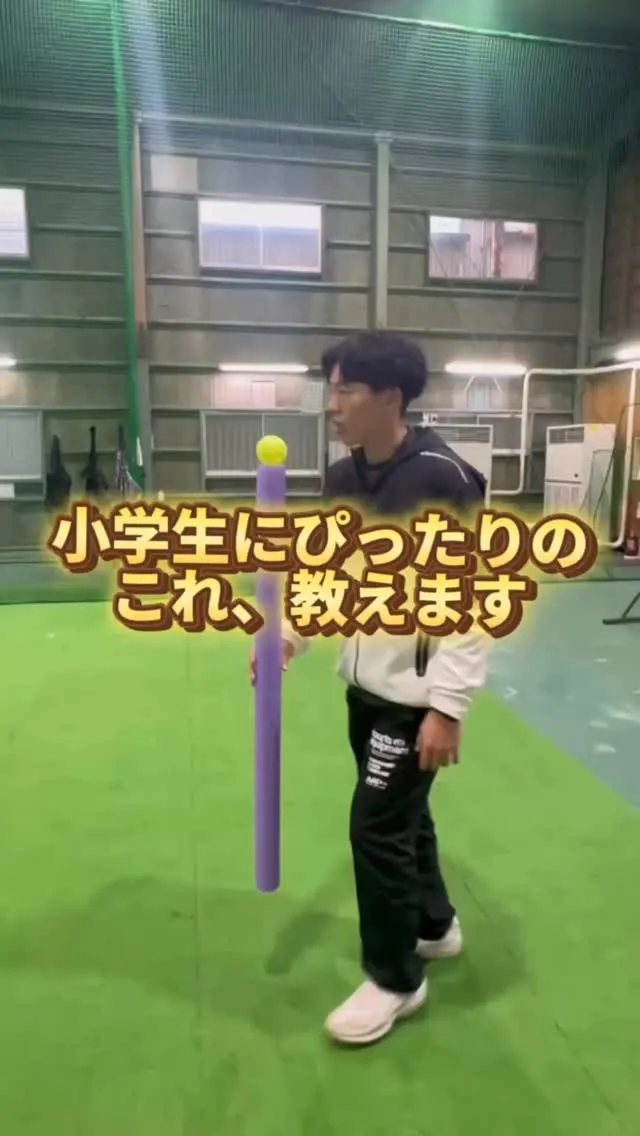 ——————————————————
